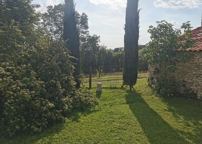 Le Puech Des Amandiers Vakantiehuis Villeneuve-sur-Vere